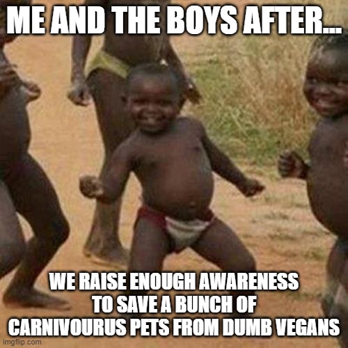 success 100 | ME AND THE BOYS AFTER... WE RAISE ENOUGH AWARENESS TO SAVE A BUNCH OF CARNIVOURUS PETS FROM DUMB VEGANS | image tagged in memes,third world success kid | made w/ Imgflip meme maker