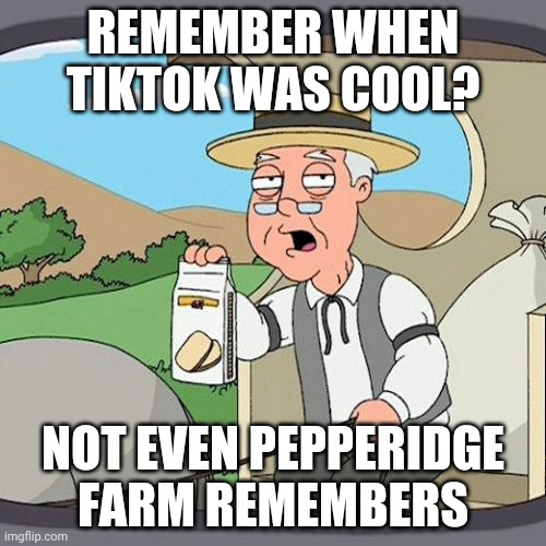 because it never was | REMEMBER WHEN TIKTOK WAS COOL? NOT EVEN PEPPERIDGE FARM REMEMBERS | image tagged in memes,pepperidge farm remembers | made w/ Imgflip meme maker