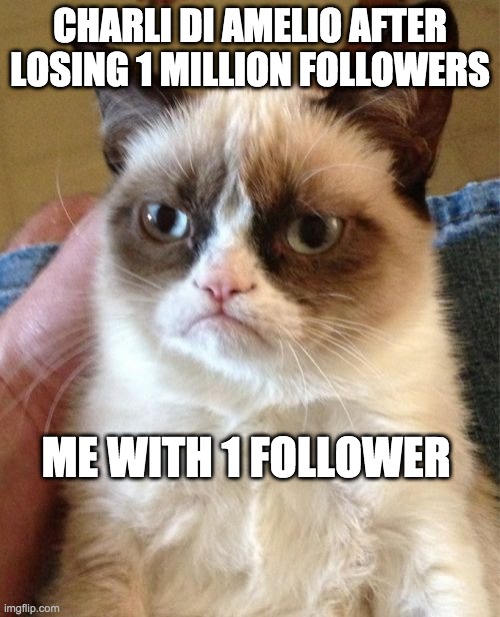 Grumpy Cat | CHARLI DI AMELIO AFTER LOSING 1 MILLION FOLLOWERS; ME WITH 1 FOLLOWER | image tagged in memes,grumpy cat | made w/ Imgflip meme maker