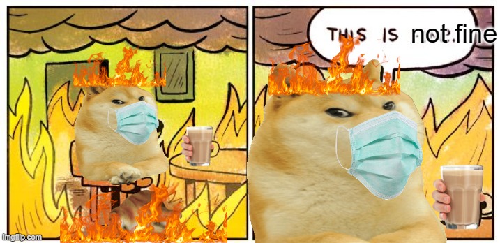 This Is Fine Meme | not fine | image tagged in memes,this is fine | made w/ Imgflip meme maker