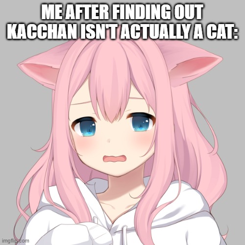 ME AFTER FINDING OUT KACCHAN ISN'T ACTUALLY A CAT: | made w/ Imgflip meme maker
