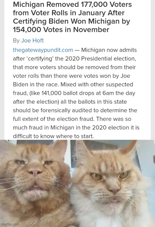 Politics and stuff | image tagged in funny memes | made w/ Imgflip meme maker