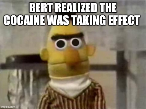 Bert | BERT REALIZED THE COCAINE WAS TAKING EFFECT | image tagged in bert muppet what did i just see | made w/ Imgflip meme maker