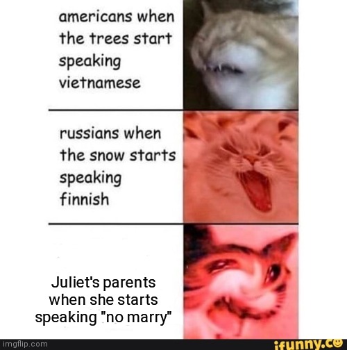 Romeo bad Paris good | Juliet's parents when she starts speaking "no marry" | image tagged in americans when | made w/ Imgflip meme maker