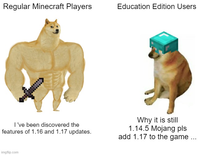 Respect the kids pls | Regular Minecraft Players; Education Edition Users; I 've been discovered the features of 1.16 and 1.17 updates. Why it is still 1.14.5 Mojang pls add 1.17 to the game ... | image tagged in memes,buff doge vs cheems,minecraft | made w/ Imgflip meme maker