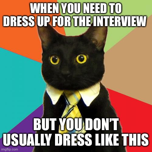When you.... | WHEN YOU NEED TO DRESS UP FOR THE INTERVIEW; BUT YOU DON’T USUALLY DRESS LIKE THIS | image tagged in memes,business cat | made w/ Imgflip meme maker