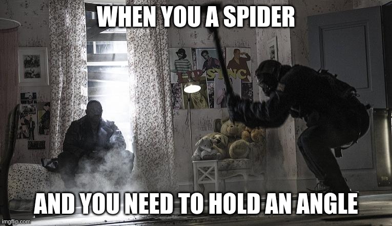 rainbow six siege sledge | WHEN YOU A SPIDER; AND YOU NEED TO HOLD AN ANGLE | image tagged in rainbow six siege sledge | made w/ Imgflip meme maker