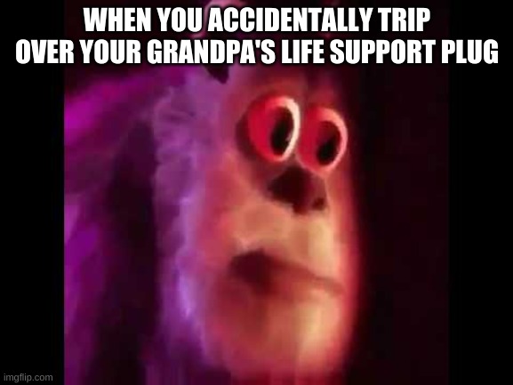 Oh no |  WHEN YOU ACCIDENTALLY TRIP OVER YOUR GRANDPA'S LIFE SUPPORT PLUG | image tagged in sully groan,funny | made w/ Imgflip meme maker