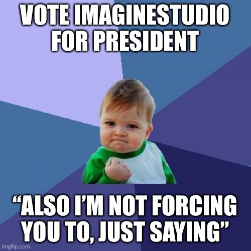 Vote me for president, for a better future | VOTE IMAGINESTUDIO FOR PRESIDENT; “ALSO I’M NOT FORCING YOU TO, JUST SAYING” | image tagged in memes,success kid | made w/ Imgflip meme maker