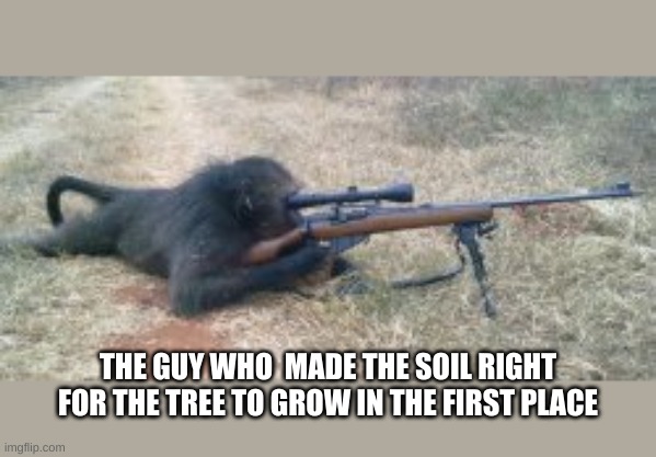 THE GUY WHO  MADE THE SOIL RIGHT FOR THE TREE TO GROW IN THE FIRST PLACE | made w/ Imgflip meme maker