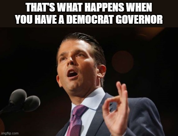 Donald Trump Jr. | THAT'S WHAT HAPPENS WHEN YOU HAVE A DEMOCRAT GOVERNOR | image tagged in donald trump jr | made w/ Imgflip meme maker