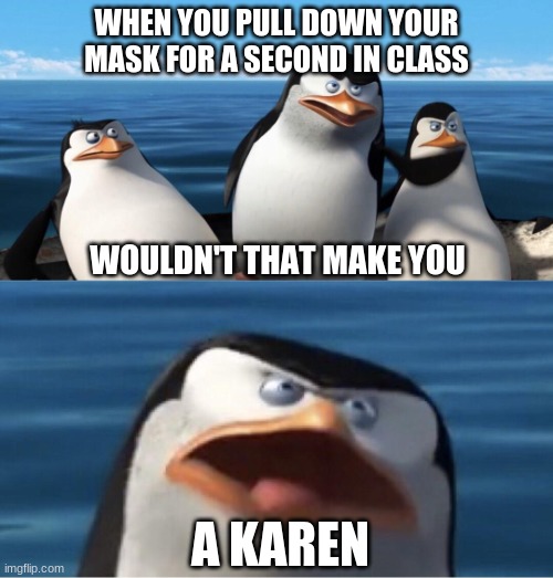 Wouldn't that make you | WHEN YOU PULL DOWN YOUR MASK FOR A SECOND IN CLASS; WOULDN'T THAT MAKE YOU; A KAREN | image tagged in wouldn't that make you | made w/ Imgflip meme maker