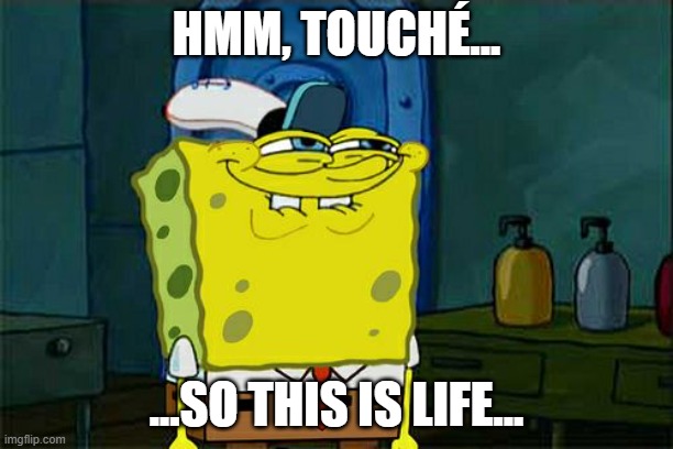 spongebob wonders | HMM, TOUCHÉ... ...SO THIS IS LIFE... | image tagged in memes,don't you squidward | made w/ Imgflip meme maker