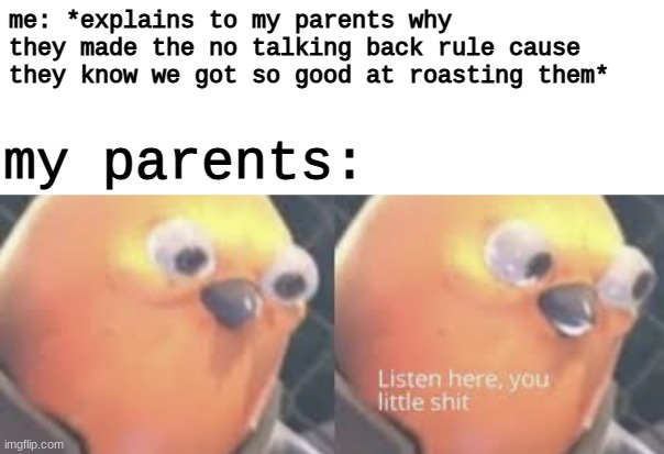 facts | me: *explains to my parents why they made the no talking back rule cause they know we got so good at roasting them*; my parents: | image tagged in listen here you little shit bird | made w/ Imgflip meme maker