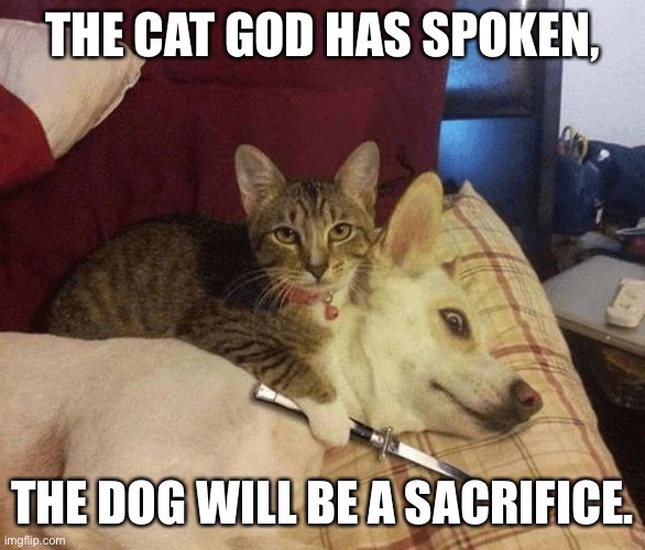 Cat with knife at dog's throat | THE CAT GOD HAS SPOKEN, THE DOG WILL BE A SACRIFICE. | image tagged in cat with knife at dog's throat | made w/ Imgflip meme maker