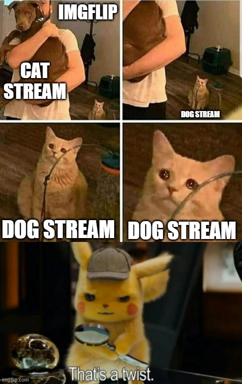 Well it's an Uno reverse situation, but this is true | IMGFLIP; CAT STREAM; DOG STREAM; DOG STREAM; DOG STREAM | image tagged in sad cat holding dog,detective pikachu,uno reverse card,cat,dog | made w/ Imgflip meme maker