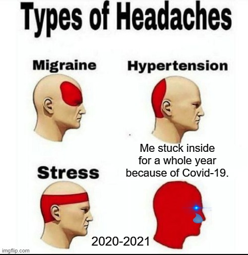 Types of Headaces of 2020 and 2021 | Me stuck inside for a whole year because of Covid-19. 2020-2021 | image tagged in types of headaches meme | made w/ Imgflip meme maker