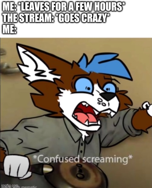 WHAT IS HAPPENING!? | ME: *LEAVES FOR A FEW HOURS*
THE STREAM: *GOES CRAZY*
ME: | image tagged in confused furry screaming | made w/ Imgflip meme maker