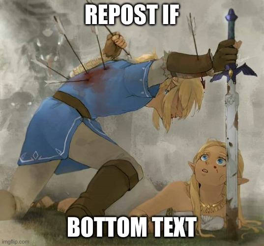 Link and zelda | REPOST IF; BOTTOM TEXT | image tagged in link and zelda | made w/ Imgflip meme maker