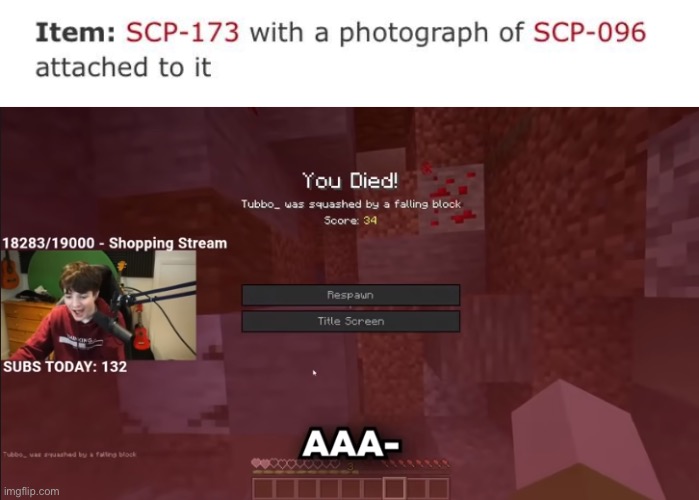 I never knew that was an actual item | image tagged in tubbo aaa | made w/ Imgflip meme maker