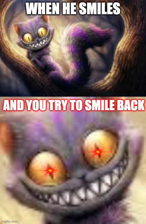 WHEN HE SMILES; AND YOU TRY TO SMILE BACK | image tagged in when he smiles | made w/ Imgflip meme maker