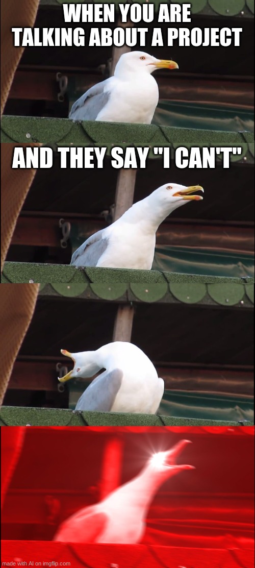 * A N G E R * | WHEN YOU ARE TALKING ABOUT A PROJECT; AND THEY SAY "I CAN'T" | image tagged in memes,inhaling seagull | made w/ Imgflip meme maker