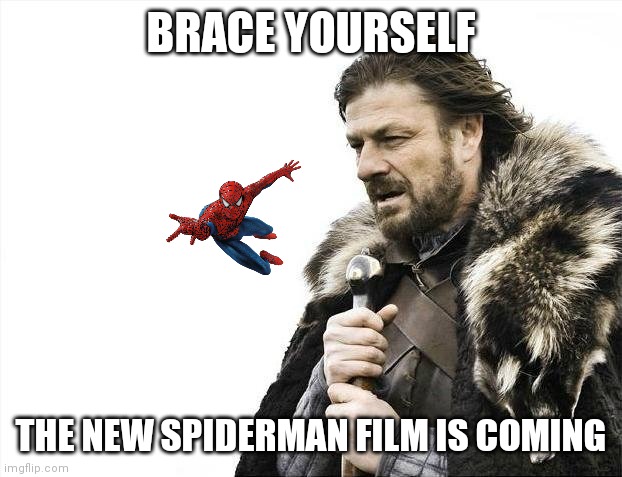 Oh no | BRACE YOURSELF; THE NEW SPIDERMAN FILM IS COMING | image tagged in memes,brace yourselves x is coming | made w/ Imgflip meme maker