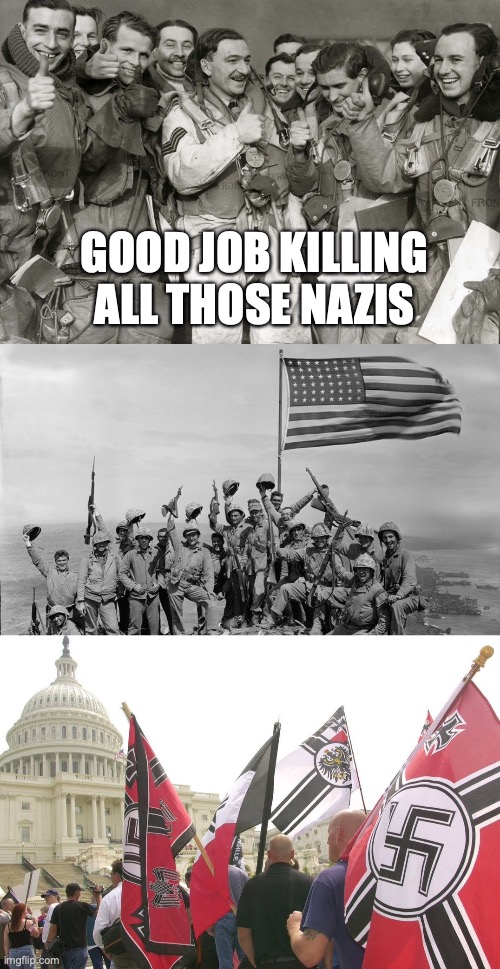 GOOD JOB KILLING ALL THOSE NAZIS | image tagged in world war ii the irony,nazis neo-nazi flags parade capitol washington dc | made w/ Imgflip meme maker