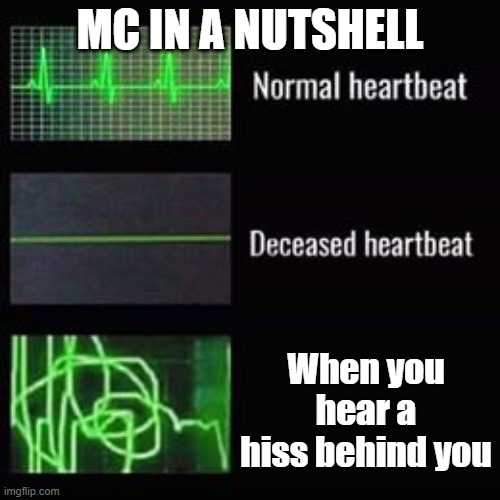 Creeeeep | MC IN A NUTSHELL; When you hear a hiss behind you | image tagged in heartbeat rate | made w/ Imgflip meme maker