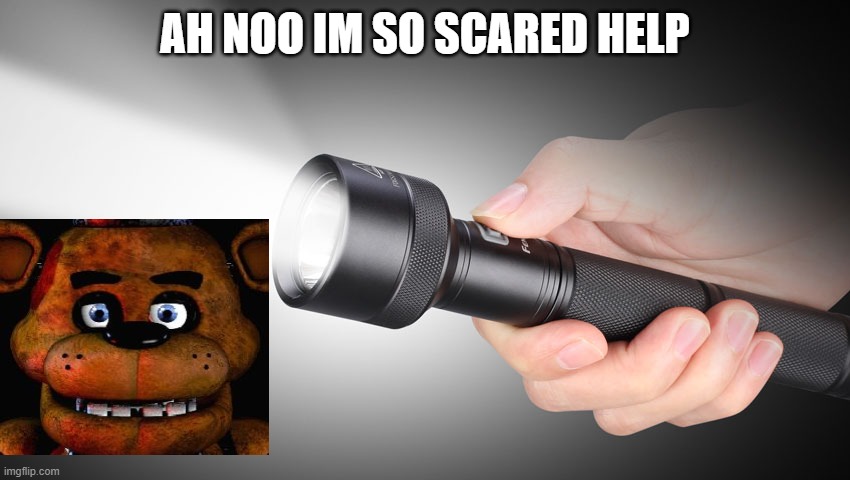 flashlight | AH NOO IM SO SCARED HELP | image tagged in flashlight | made w/ Imgflip meme maker