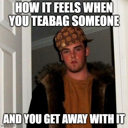 Baggers | HOW IT FEELS WHEN YOU TEABAG SOMEONE; AND YOU GET AWAY WITH IT | image tagged in memes,scumbag steve | made w/ Imgflip meme maker