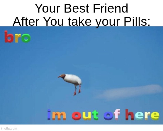 hahaahahahah... huh? | Your Best Friend After You take your Pills: | image tagged in bro i'm out of here,funny,memes | made w/ Imgflip meme maker