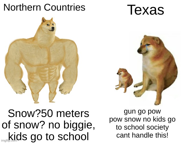 Buff Doge vs. Cheems Meme | Northern Countries; Texas; gun go pow pow snow no kids go to school society cant handle this! Snow?50 meters of snow? no biggie, kids go to school | image tagged in memes,buff doge vs cheems | made w/ Imgflip meme maker