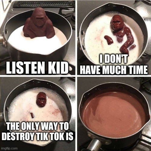 We need to know | LISTEN KID; I DON'T HAVE MUCH TIME; THE ONLY WAY TO DESTROY TIK TOK IS | image tagged in chocolate gorilla | made w/ Imgflip meme maker