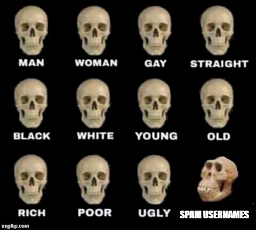this is very true | SPAM USERNAMES | image tagged in idiot skull,noob | made w/ Imgflip meme maker