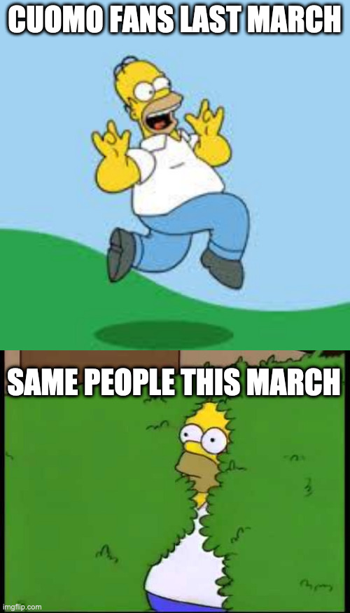 CUOMO FANS LAST MARCH; SAME PEOPLE THIS MARCH | image tagged in hooray homer | made w/ Imgflip meme maker