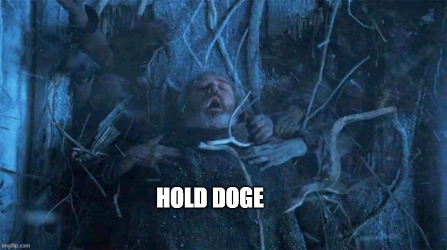 Hold Door Hodor | HOLD DOGE | image tagged in hold door hodor | made w/ Imgflip meme maker