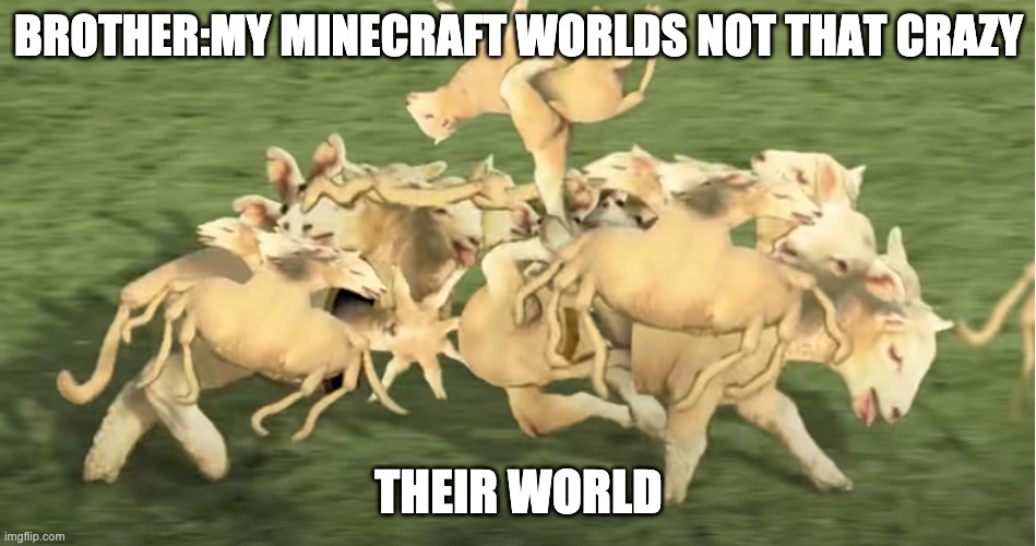 augh myr ewhyyy | BROTHER:MY MINECRAFT WORLDS NOT THAT CRAZY; THEIR WORLD | image tagged in memes | made w/ Imgflip meme maker