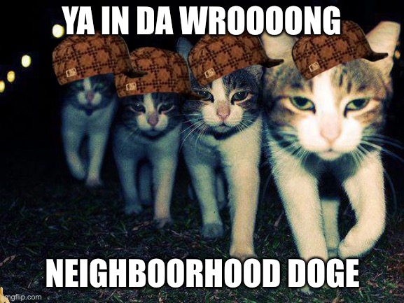 Wrong Neighboorhood Cats | YA IN DA WROOOONG; NEIGHBOORHOOD DOGE | image tagged in memes,wrong neighboorhood cats | made w/ Imgflip meme maker