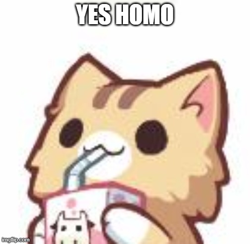 Unsee Juice kitty | YES HOMO | image tagged in unsee juice kitty | made w/ Imgflip meme maker