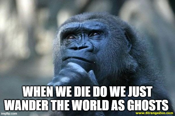 Deep Thoughts | WHEN WE DIE DO WE JUST WANDER THE WORLD AS GHOSTS | image tagged in deep thoughts | made w/ Imgflip meme maker