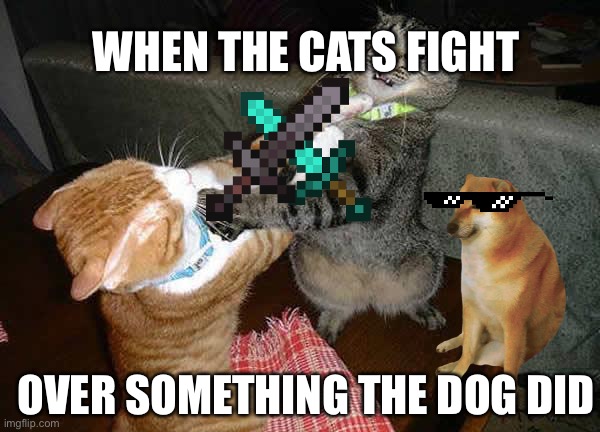 Two cats fighting for real | WHEN THE CATS FIGHT; OVER SOMETHING THE DOG DID | image tagged in two cats fighting for real | made w/ Imgflip meme maker