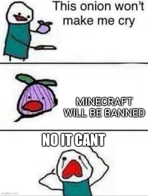 This onion wont make me cry | MINECRAFT WILL BE BANNED; NO IT CANT | image tagged in this onion wont make me cry | made w/ Imgflip meme maker