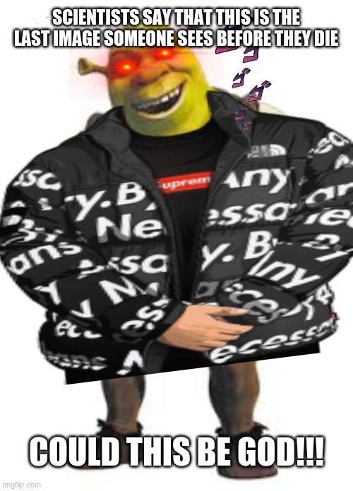 Shrekdrip | SCIENTISTS SAY THAT THIS IS THE LAST IMAGE SOMEONE SEES BEFORE THEY DIE; COULD THIS BE GOD!!! | image tagged in blank template | made w/ Imgflip meme maker