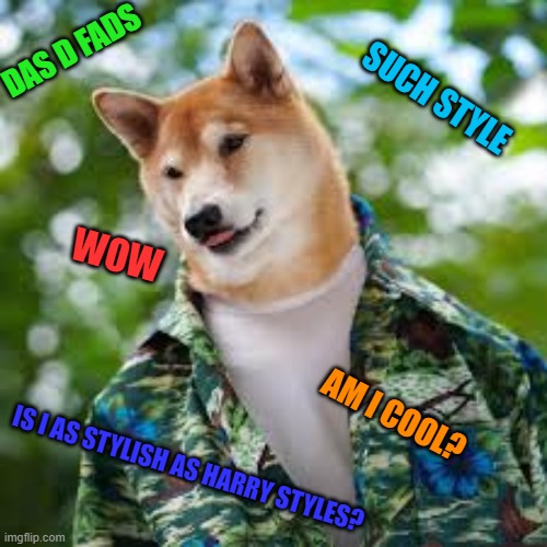 Doge Is Back, and stronger than ever! | DAS D FADS; SUCH STYLE; WOW; AM I COOL? IS I AS STYLISH AS HARRY STYLES? | image tagged in doge,style,wow | made w/ Imgflip meme maker