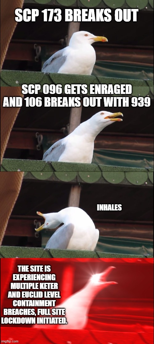 Inhaling Seagull | SCP 173 BREAKS OUT; SCP 096 GETS ENRAGED AND 106 BREAKS OUT WITH 939; INHALES; THE SITE IS EXPERIENCING MULTIPLE KETER AND EUCLID LEVEL CONTAINMENT BREACHES, FULL SITE LOCKDOWN INITIATED. | image tagged in memes,inhaling seagull | made w/ Imgflip meme maker