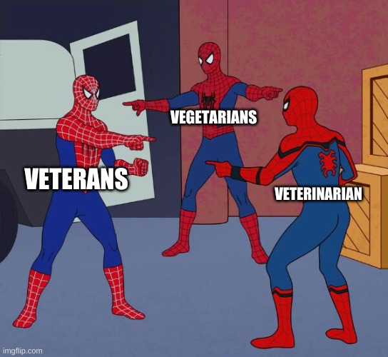 thank god grammarly exsists | VEGETARIANS; VETERANS; VETERINARIAN | image tagged in spider man triple | made w/ Imgflip meme maker