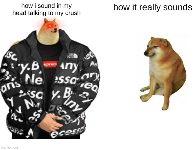me | how i sound in my head talking to my crush; how it really sounds | image tagged in doggo week | made w/ Imgflip meme maker