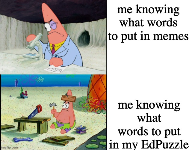 just thought of this | me knowing what words to put in memes; me knowing what words to put in my EdPuzzle | image tagged in patrick scientist and dumb patrick | made w/ Imgflip meme maker