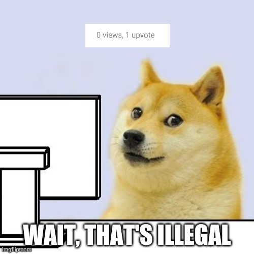 Hacker Doge | WAIT, THAT'S ILLEGAL | image tagged in hacker doge | made w/ Imgflip meme maker
